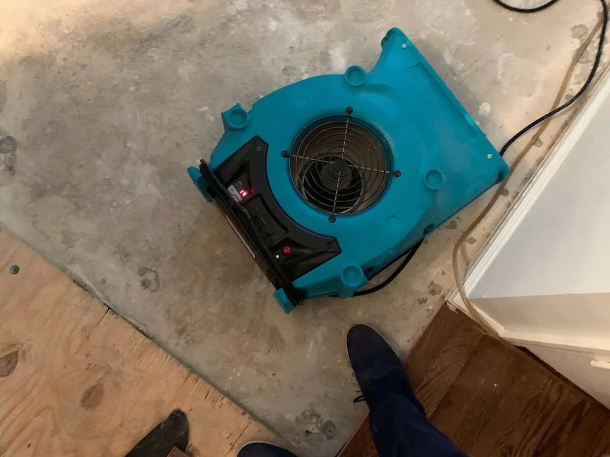 Air mover drying subfloor during Commercial Water Damage Restoration in Upper Moreland